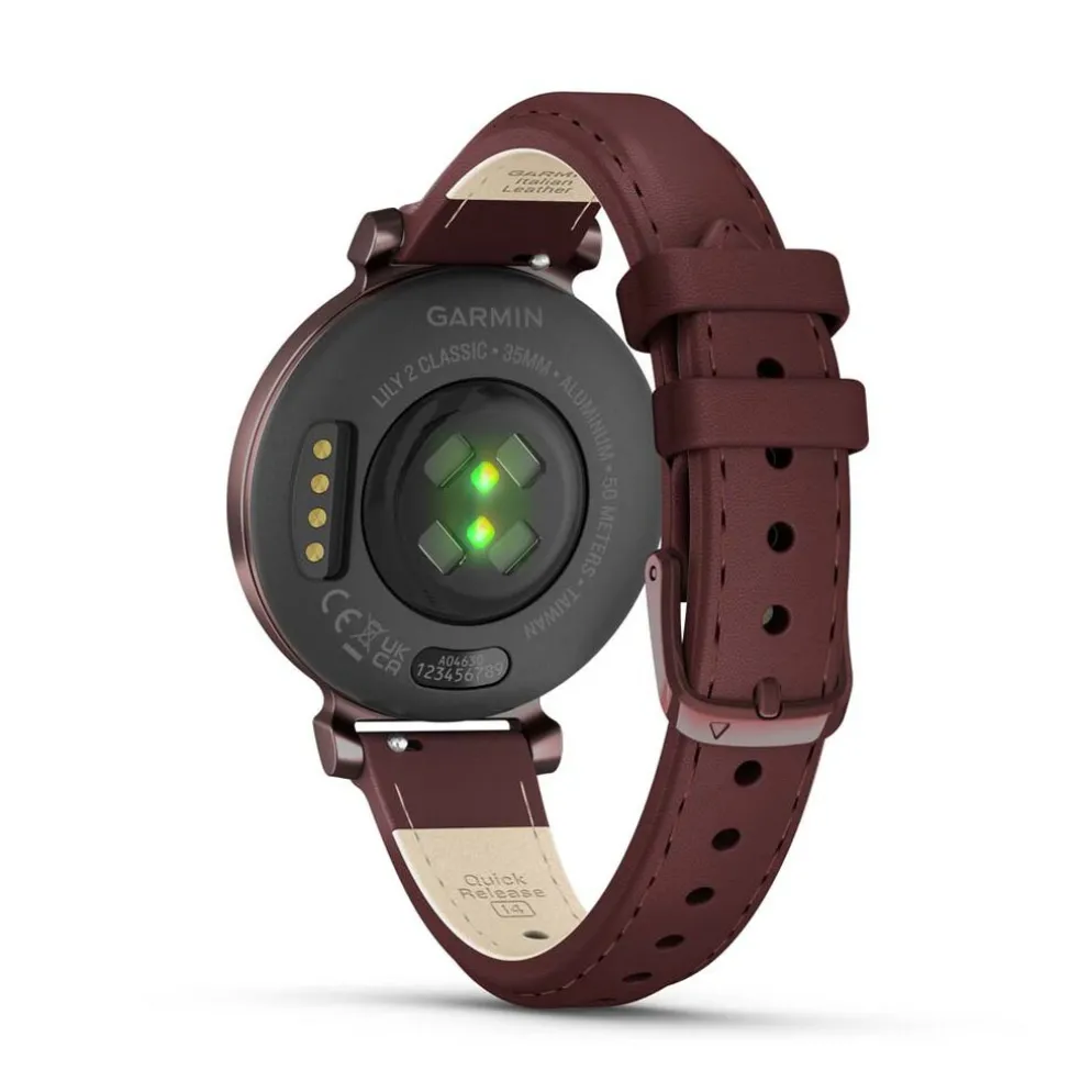 Montre Connectée Garmin Lily 2 Marron