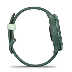 Montre Connectée Garmin Vivoactive 6