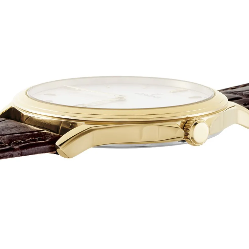 Montre Festina Classics Argent