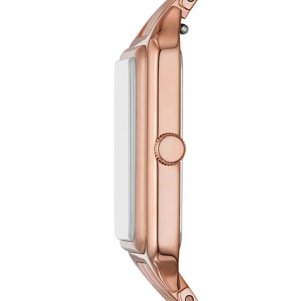 Montre Fossil Raquel Brun