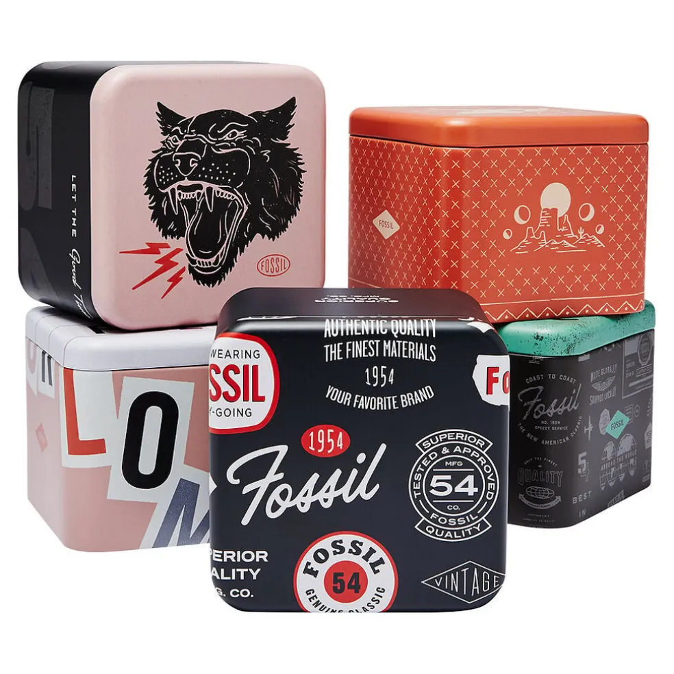 Montre Fossil Raquel Brun