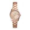 Montre Fossil Scarlette Rose
