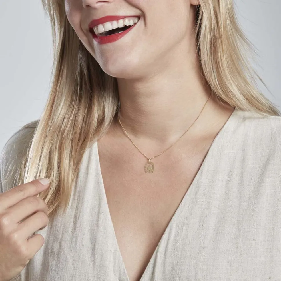 Pendentif Egide Fer A Cheval Or Jaune