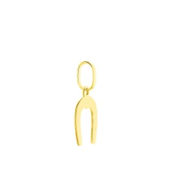 Pendentif Egide Fer A Cheval Or Jaune