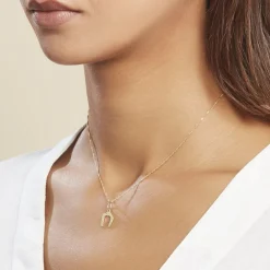 Pendentif Egide Fer A Cheval Or Jaune