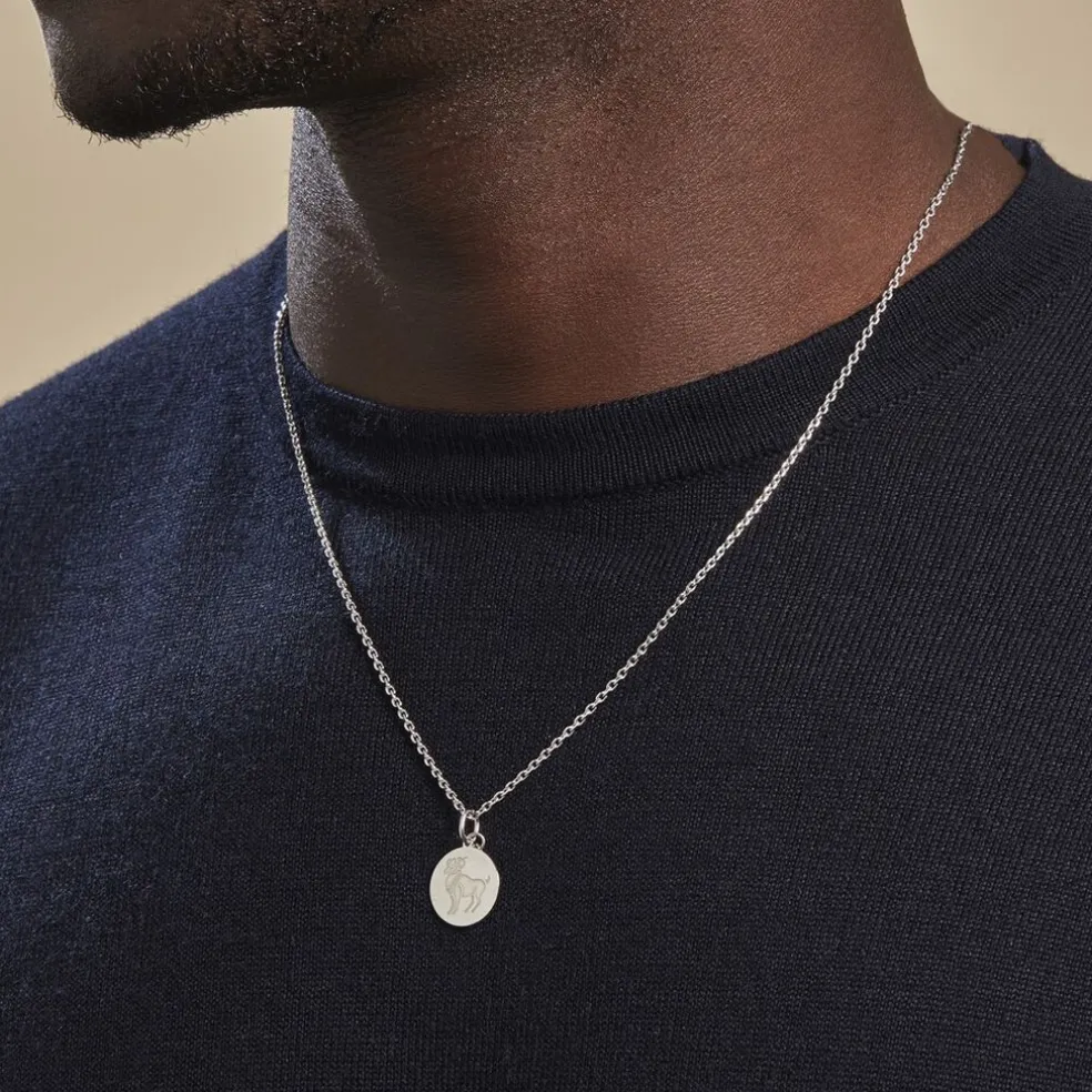 Pendentif Zodiaque Rond Argent Blanc