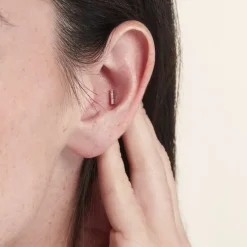 Piercing D'oreille Unitaire Argent Percival Oxyde De Zirconium